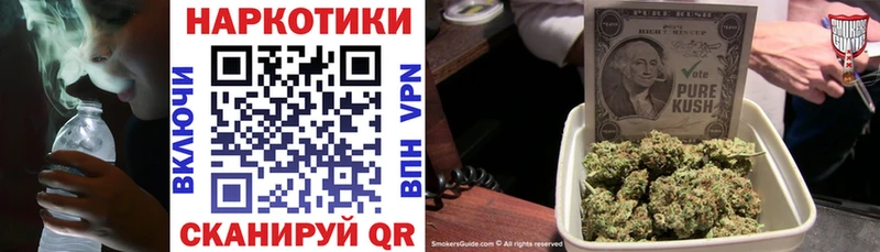 A PVP Сухиничи