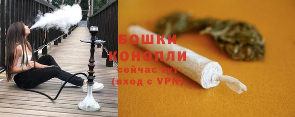 не бодяженный Арсеньев