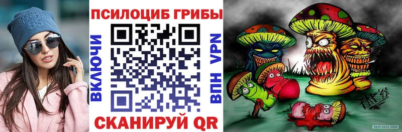 закладка  Сухиничи  Галлюциногенные грибы ЛСД 